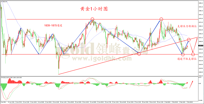 2021年2月3日黄金走势图