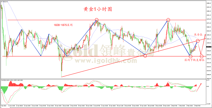 2021年2月3日黄金走势图