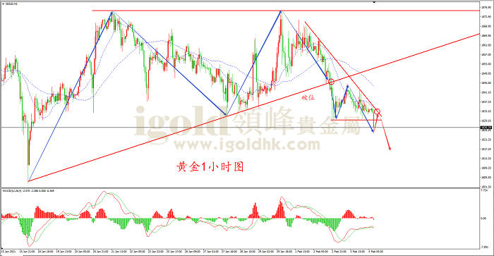 2021年2月4日黄金走势图