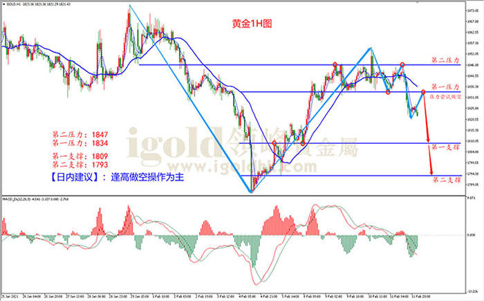 2021年2月12日黄金走势图