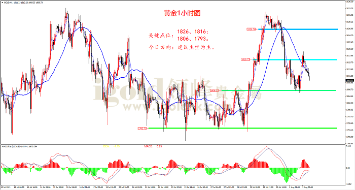 2021年8月3日黄金走势图