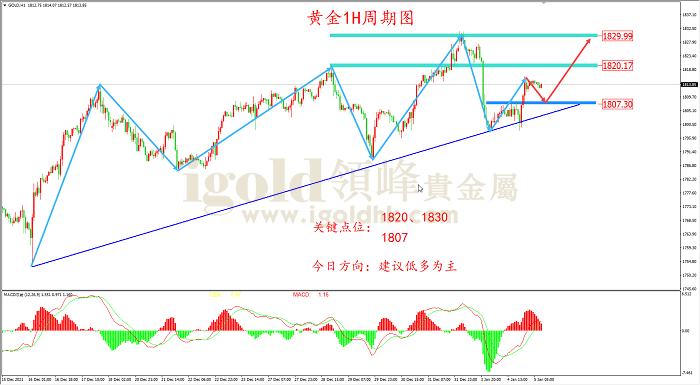 2022年1月5日黄金走势图