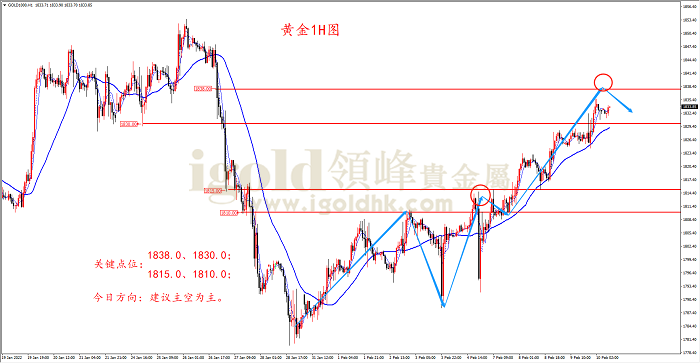 2022年2月10日黄金走势图