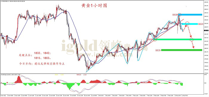 2022年2月11日黄金走势图