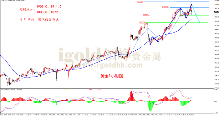 2022年2月21日黄金走势图