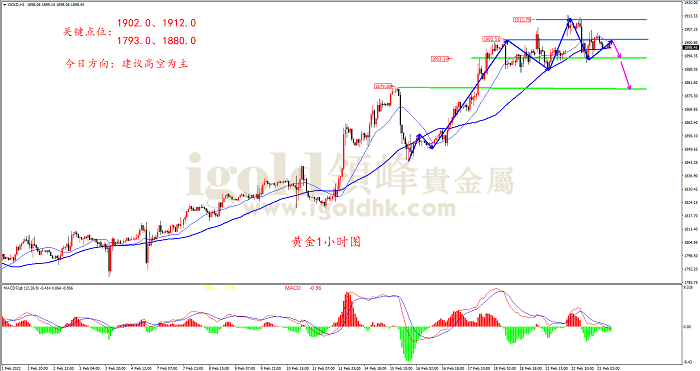2022年2月23日黄金走势图