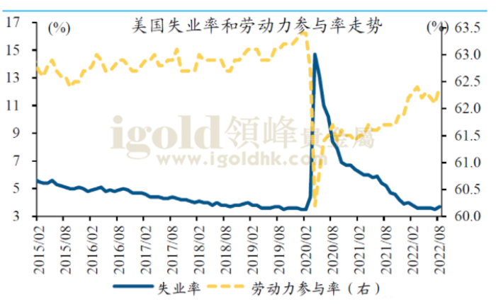 参与率走势图