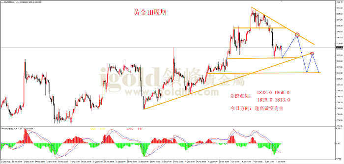 2023年1月6日黄金走势图