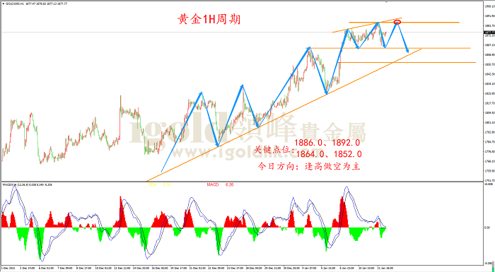 2023年1月12日黄金走势图