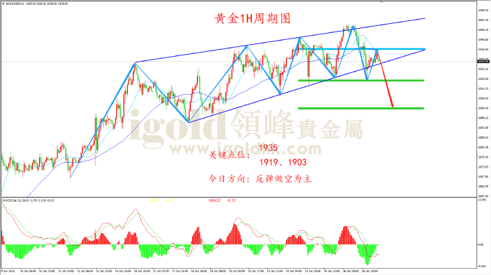 2023年1月27日黄金走势图