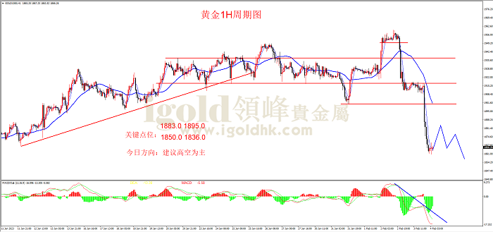 2023年2月6日黄金走势图