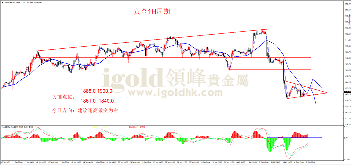 2023年2月7日黄金走势图