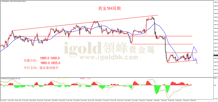 2023年2月8日黄金走势图