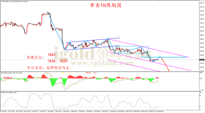 2023年2月16日黄金走势图