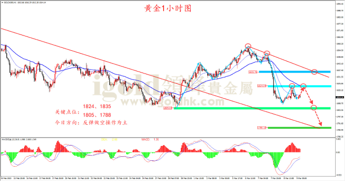 2023年3月9日黄金走势图