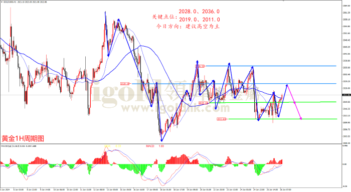 2024年1月26日黄金走势图