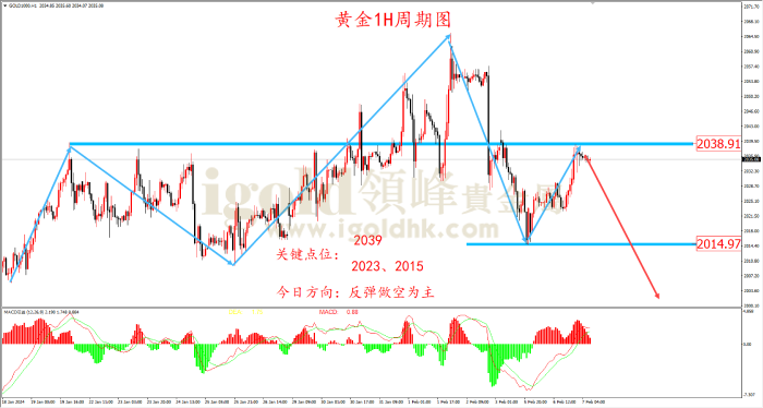 2024年2月7日黄金走势图