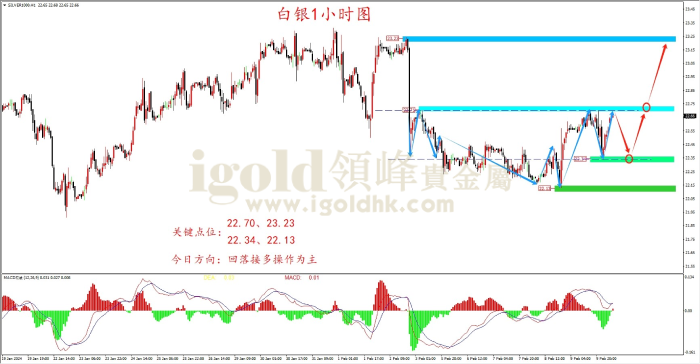 2024年2月12日白银走势图