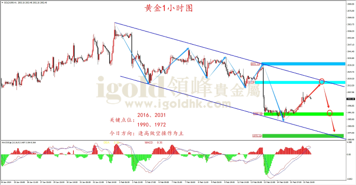 2024年2月16日黄金走势图