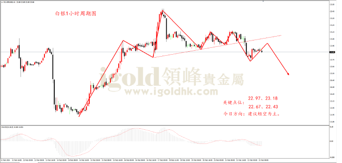 2024年2月22日黄金走势图