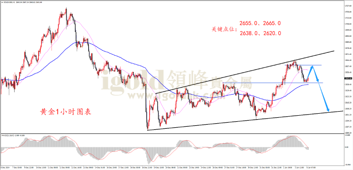 2025年1月6日黄金走势图