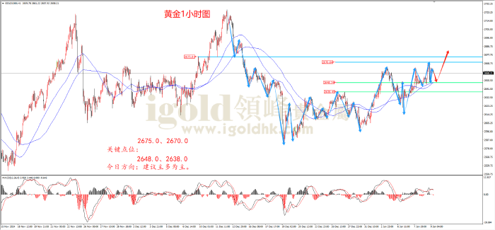 2025年1月9日黄金走势图