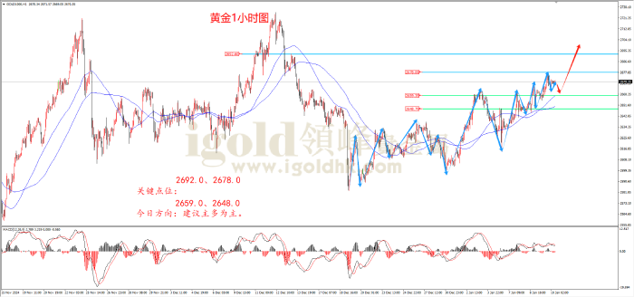 2025年1月10日黄金走势图