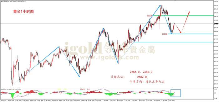 2025年1月14日黄金走势图