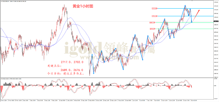 2025年1月20日黄金走势图