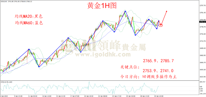 2025年1月30日黄金走势图