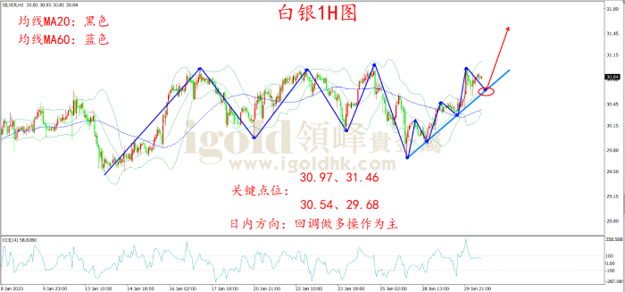 2025年1月30日白银走势图