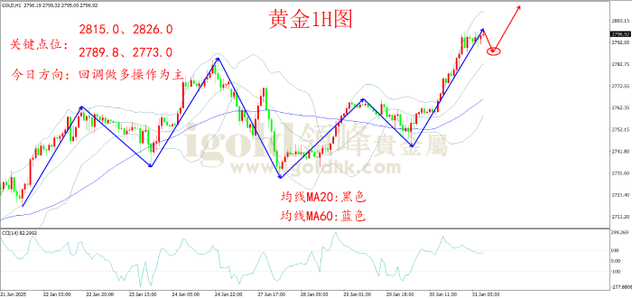 2025年1月31日黄金走势图