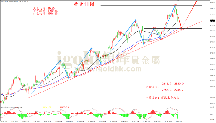 2025年2月3日黄金走势图