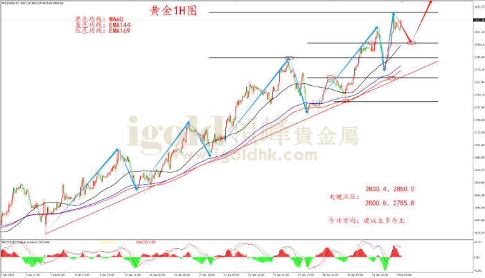 2025年2月4日黄金走势图