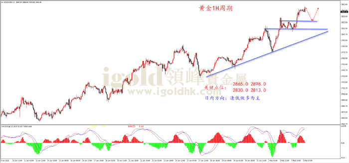 2025年2月5日黄金走势图