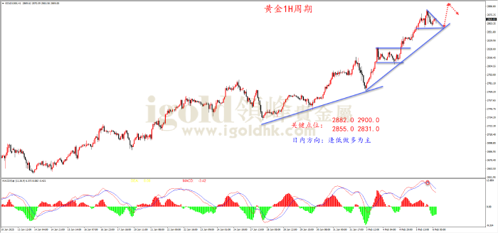 2025年2月6日黄金走势图