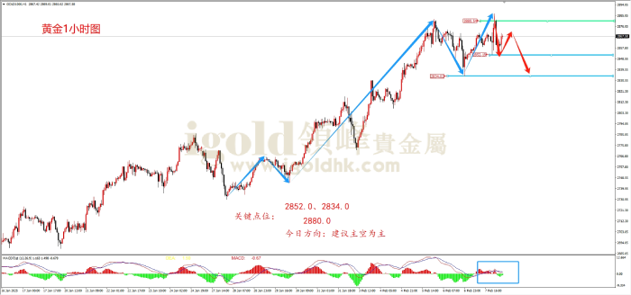 2025年2月10日黄金走势图