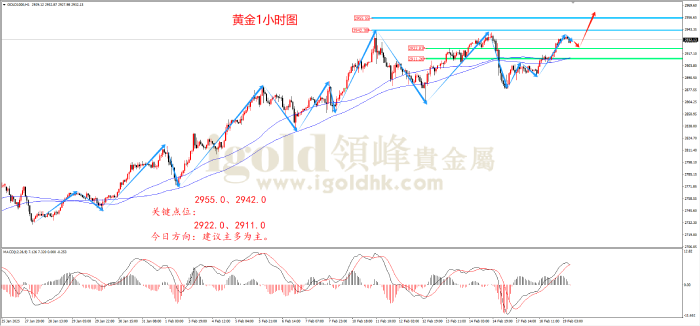 2025年2月19日黄金走势图