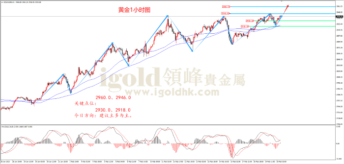 2025年2月20日黄金走势图