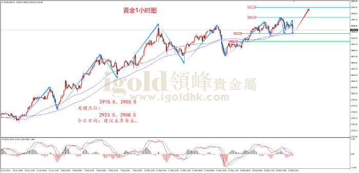 2025年2月21日黄金走势图