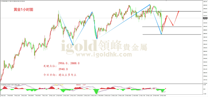 2025年2月26日黄金走势图