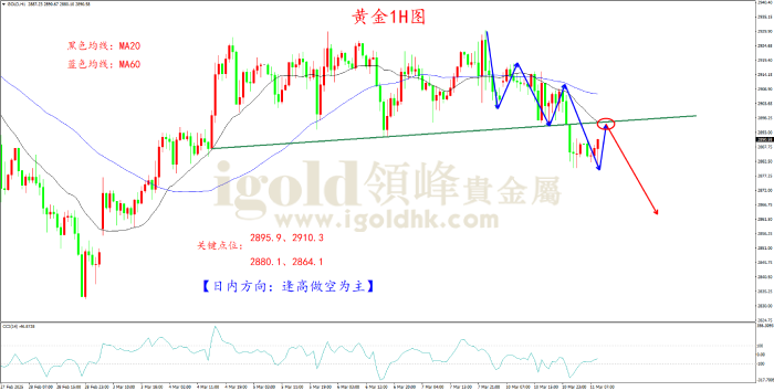 2025年3月11日黄金走势图