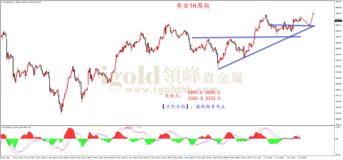 2025年6月5日黄金走势图