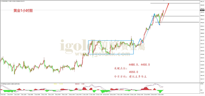  2025年12月24日黄金走势图