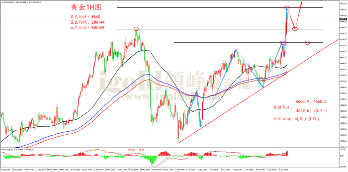 2026年01月12日黄金走势图
