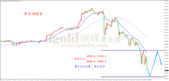 2026年02月02日黄金走势图 2026年02月02日黄金走势图