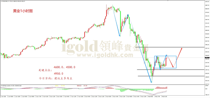 2026年02月03日黄金走势图 2026年02月03日黄金走势图