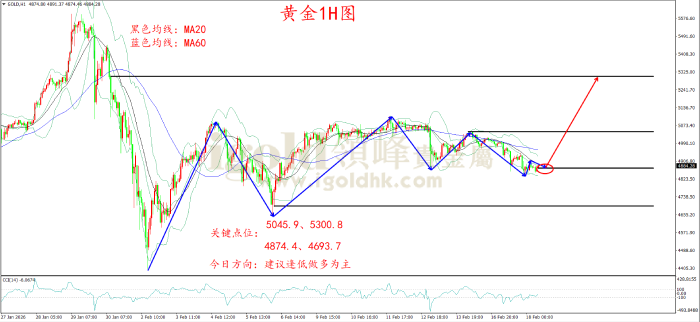 2026年02月18日黄金走势图 2026年02月18日黄金走势图