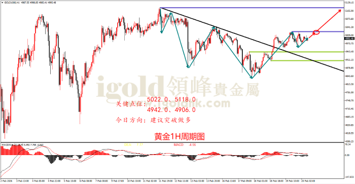 2026年02月20日黄金走势图 2026年02月20日黄金走势图
