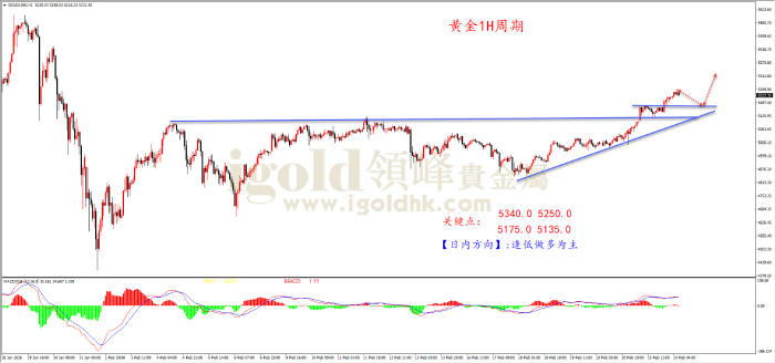 2026年02月24日黄金走势图 2026年02月24日黄金走势图